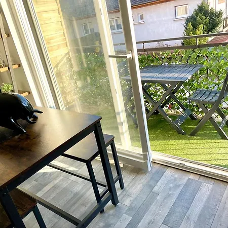 Le Rustique Vosgien Apartamento *