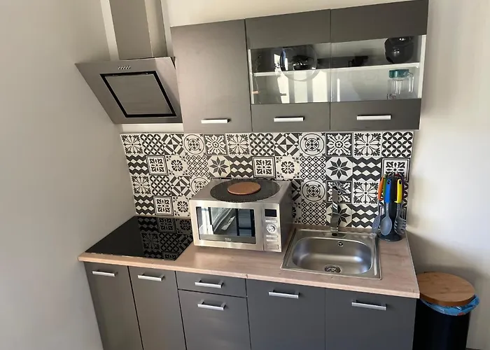 Le Rustique Vosgien * Saint-Die-des-Vosges