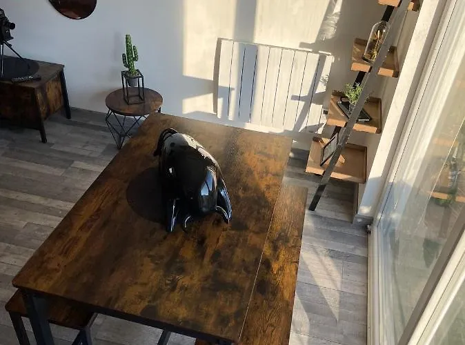 Le Rustique Vosgien * Saint-Die-des-Vosges